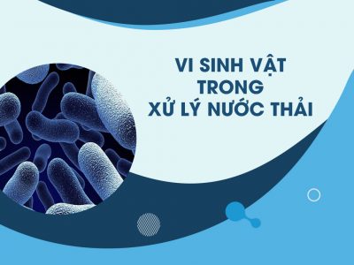 Vi Sinh Vật Trong Quá Trình Xử Lý Nước Thải