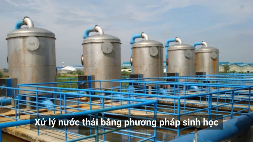 Phương Pháp Xử Lý Nước Thải Sinh Học