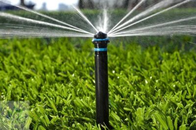 Cân bằng nước cánh đồng lọc chậm