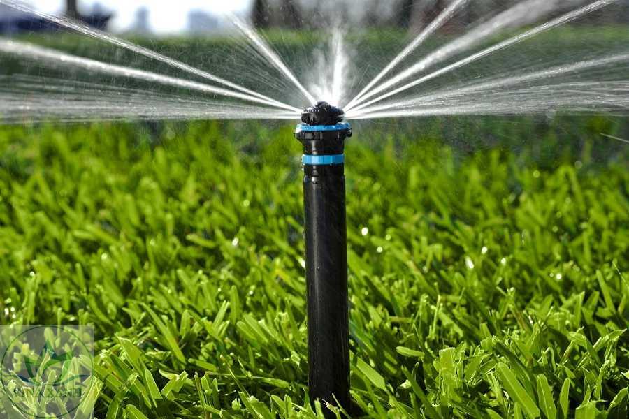 Cân bằng nước cánh đồng lọc chậm