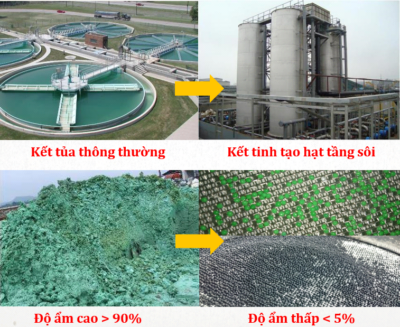 Công Nghệ Kết Tủa Struvite