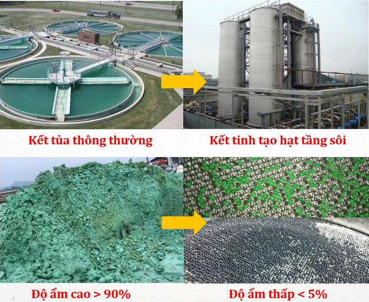 Công Nghệ Kết Tủa Struvite