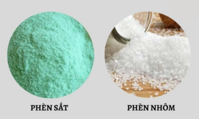 Thủy Phân Sắt Nhôm