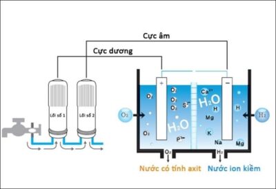 Năng Lượng Phản Ứng Oxy Hóa Chất Hữu Cơ